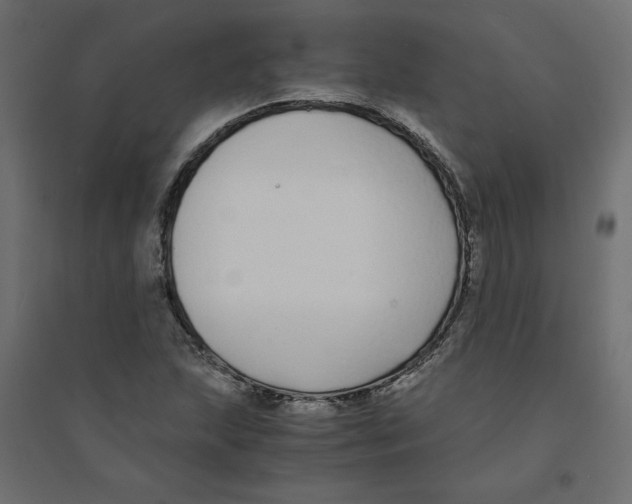 X0000094361215200711241930