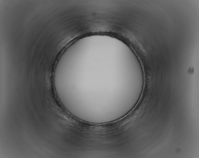 X0000094361217200711241930