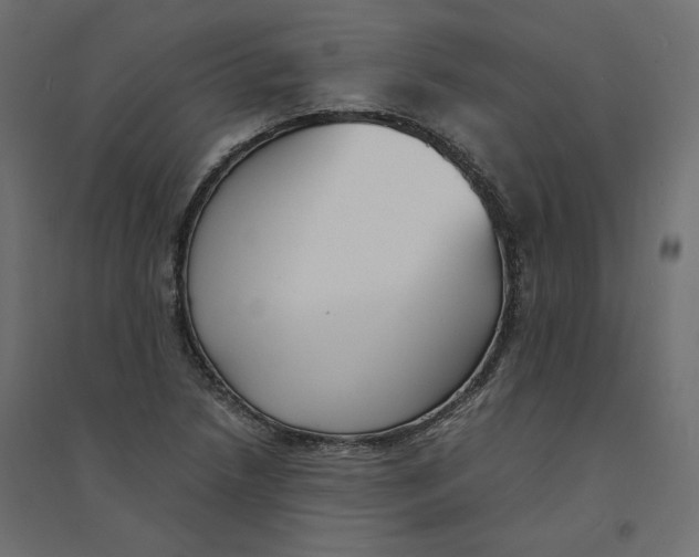 X0000094361218200711241930