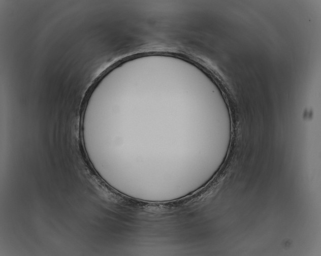 X0000094361220200711241930