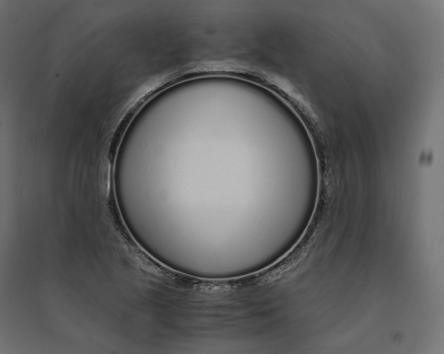 X0000094361221200711241930