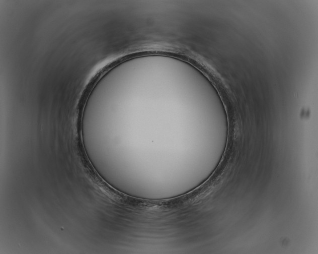 X0000094361222200711241930