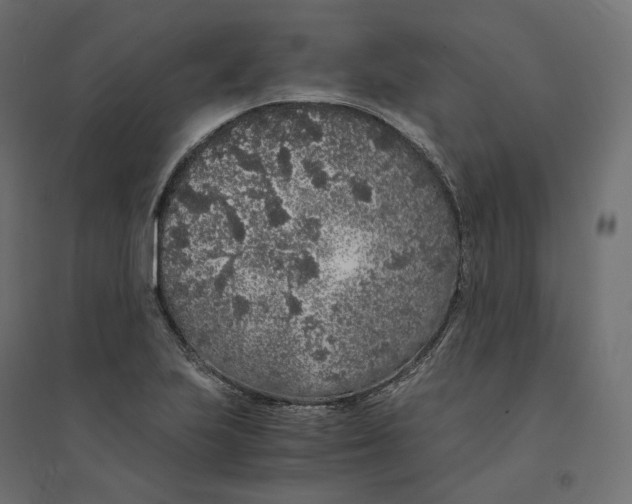 X0000094361223200711241930