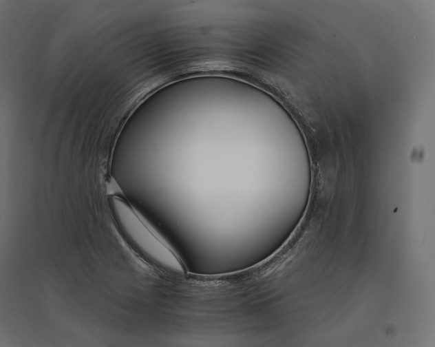 X0000094361225200711241930