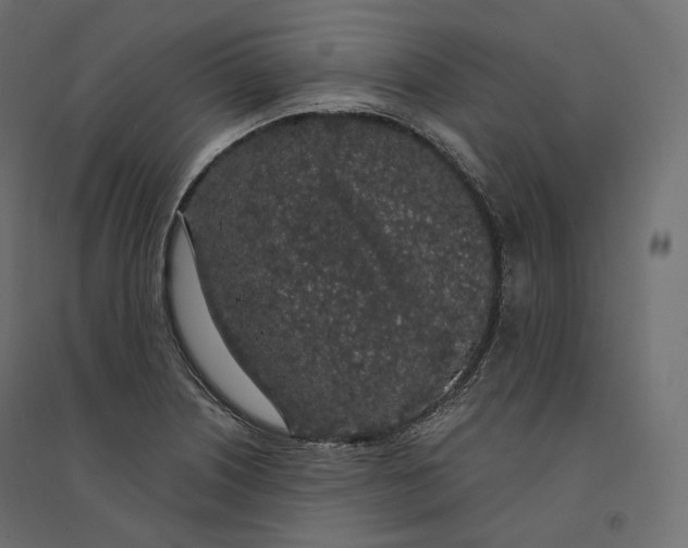 X0000094361226200711241930