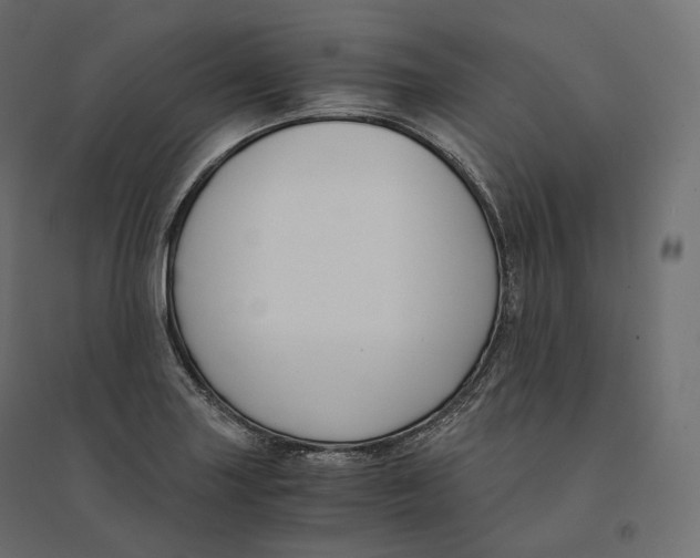 X0000094361227200711241930