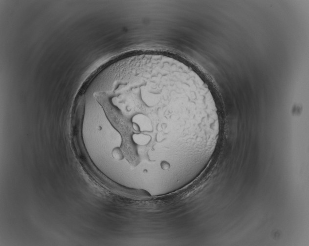 X0000094361229200711241930