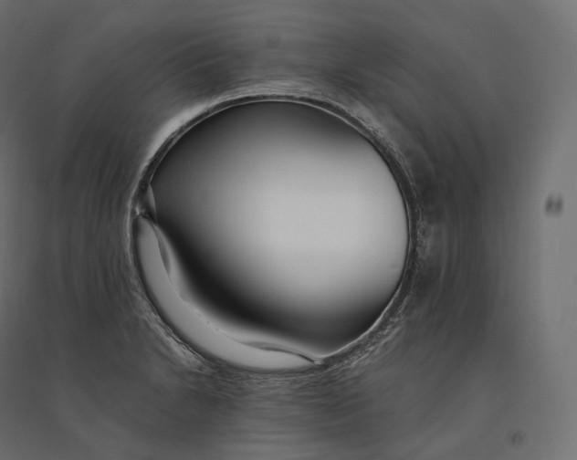 X0000094361230200711241930