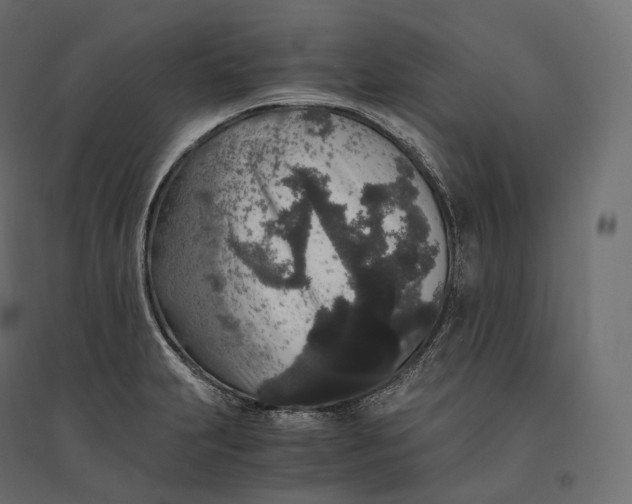 X0000094361231200711241930