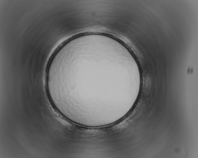 X0000094361232200711241930