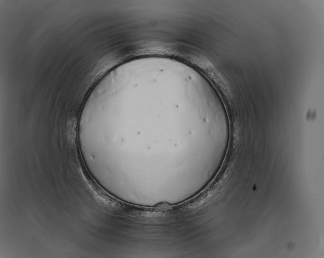 X0000094361233200711241930