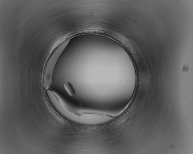 X0000094361234200711241930