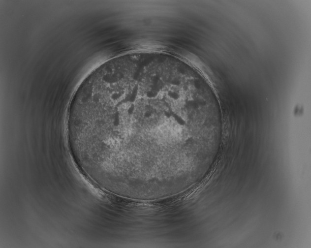 X0000094361235200711241930