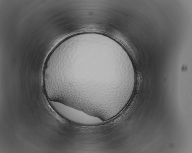 X0000094361236200711241930