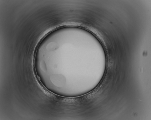 X0000094361237200711241930