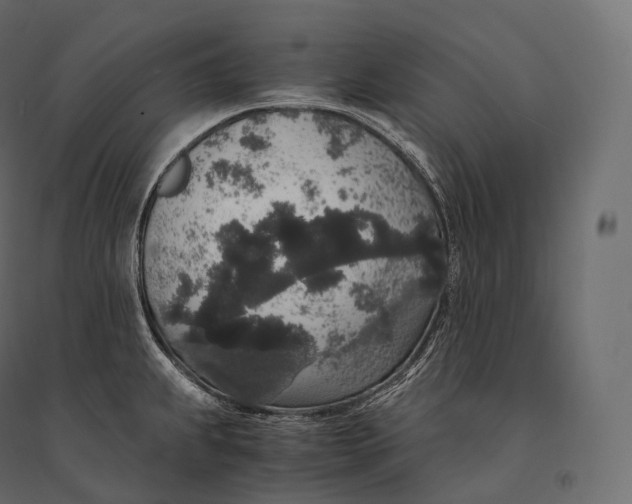 X0000094361239200711241930