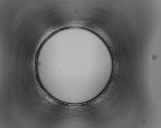 X0000094361240200711241930