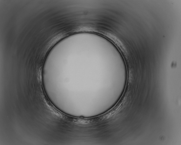 X0000094361241200711241930