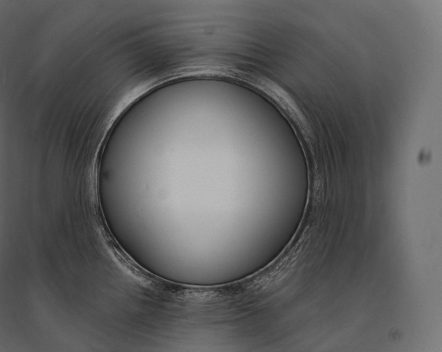 X0000094361242200711241930