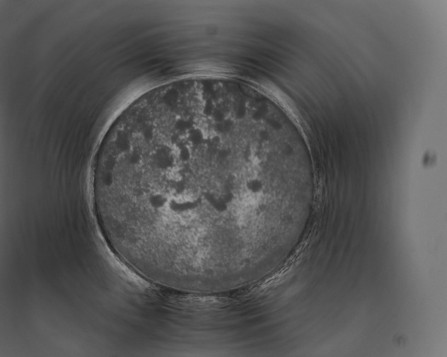 X0000094361243200711241930