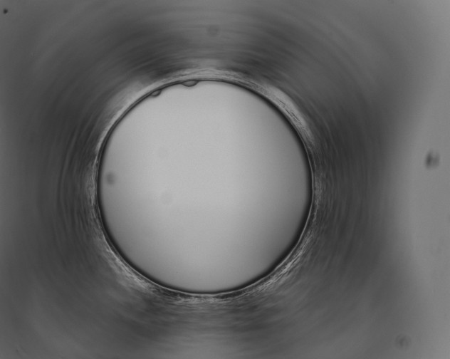 X0000094361244200711241930