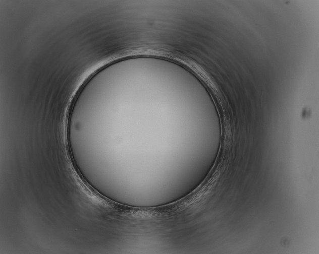 X0000094361246200711241930