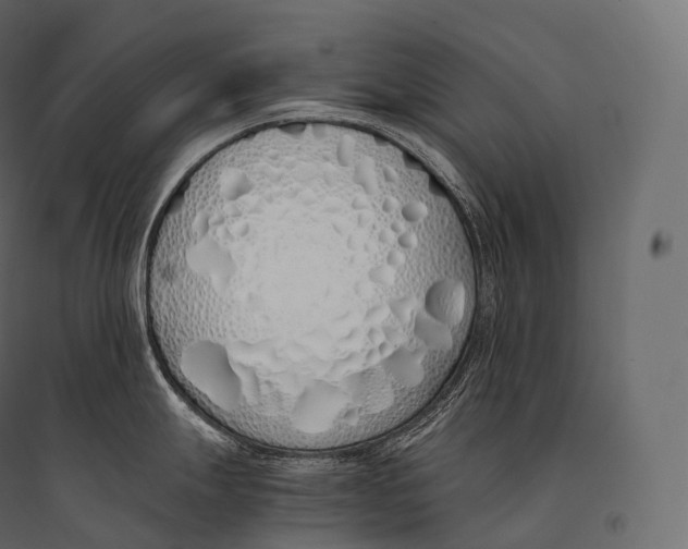 X0000094361247200711241930