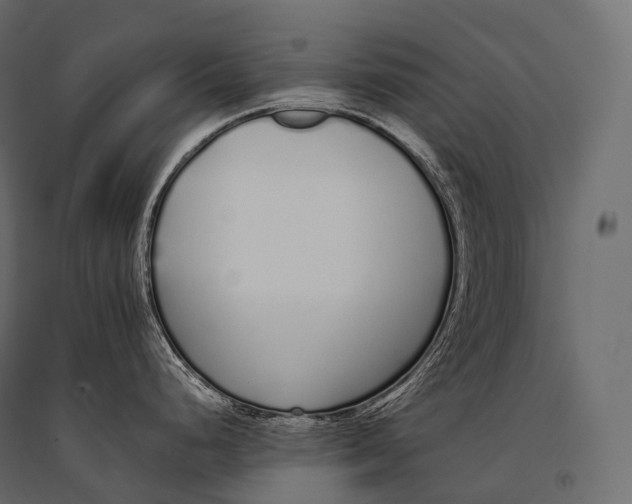 X0000094361248200711241930