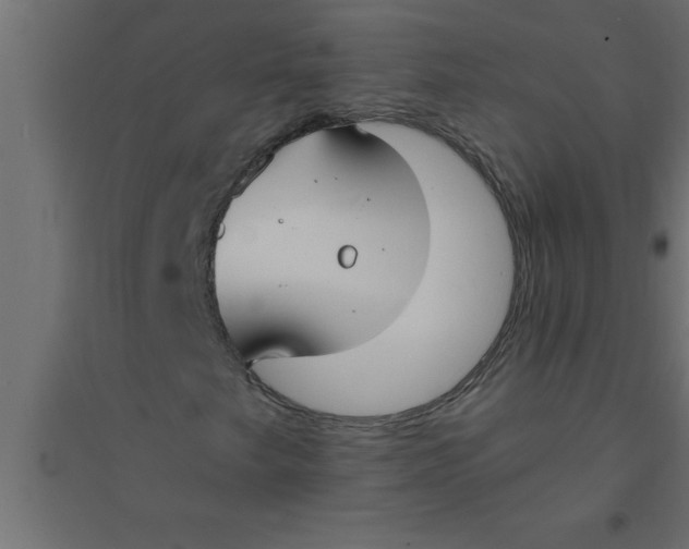 X0000094361249200711241929