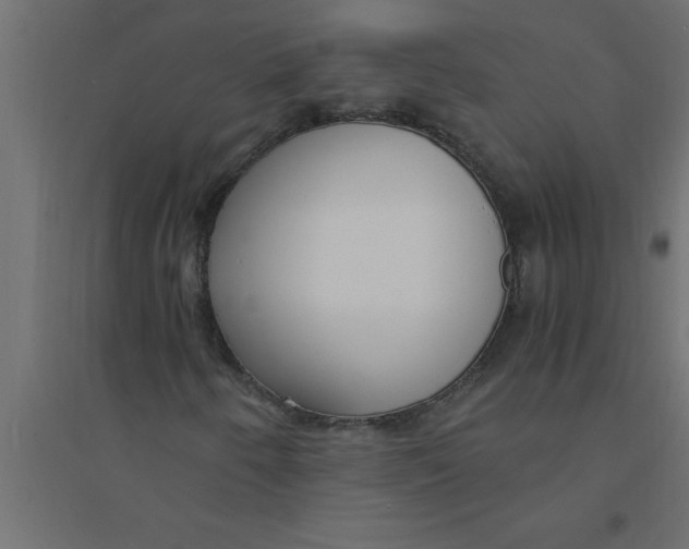 X0000094361250200711241929