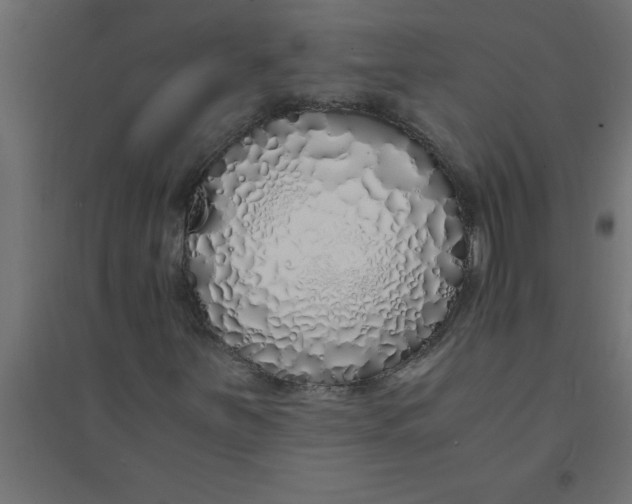 X0000094361251200711241929