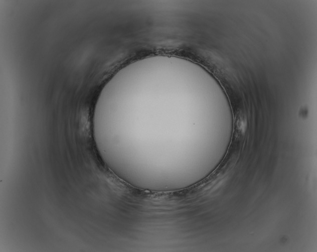 X0000094361252200711241929