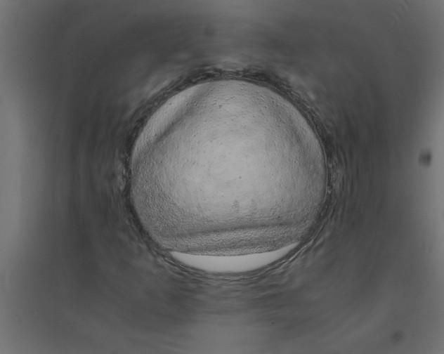 X0000094361253200711241929