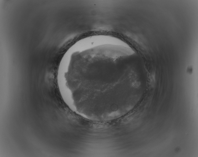 X0000094361254200711241929