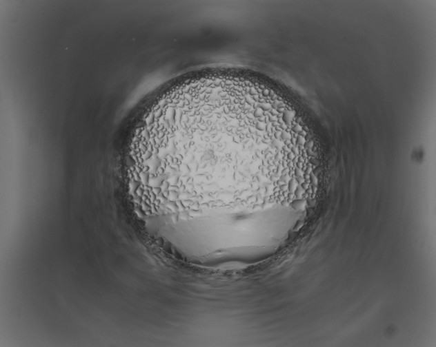 X0000094361255200711241929