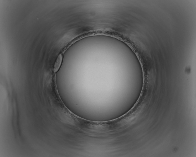 X0000094361257200711241929