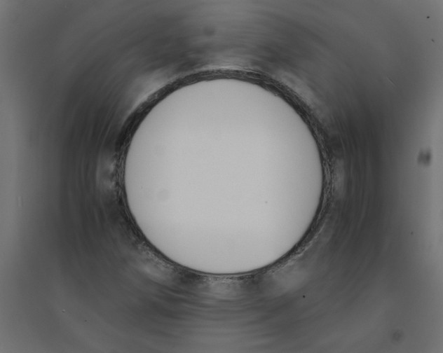 X0000094361258200711241929