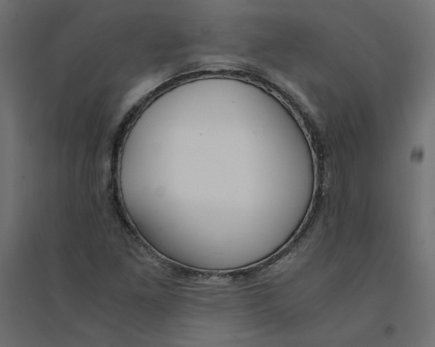 X0000094361261200711241929