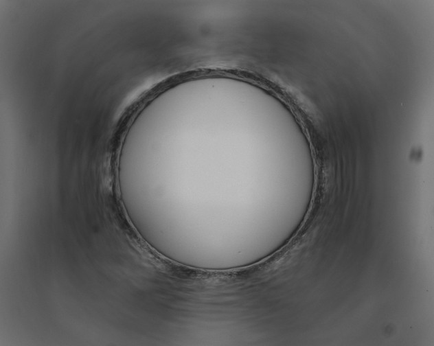 X0000094361262200711241929