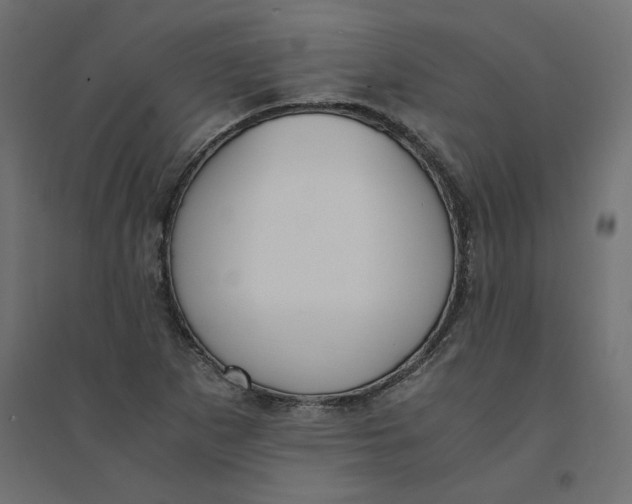 X0000094361265200711241929