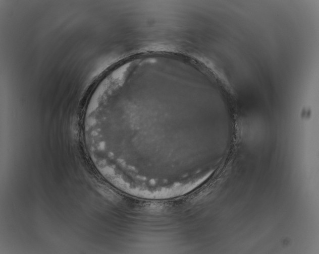 X0000094361266200711241929