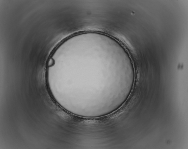 X0000094361268200711241929