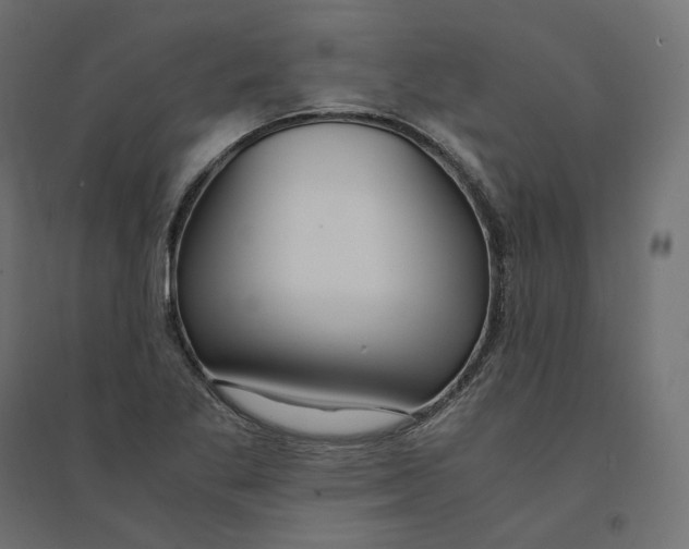 X0000094361269200711241929