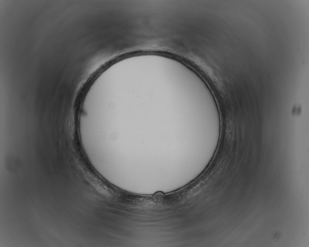 X0000094361270200711241929