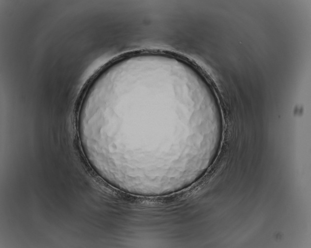 X0000094361271200711241929