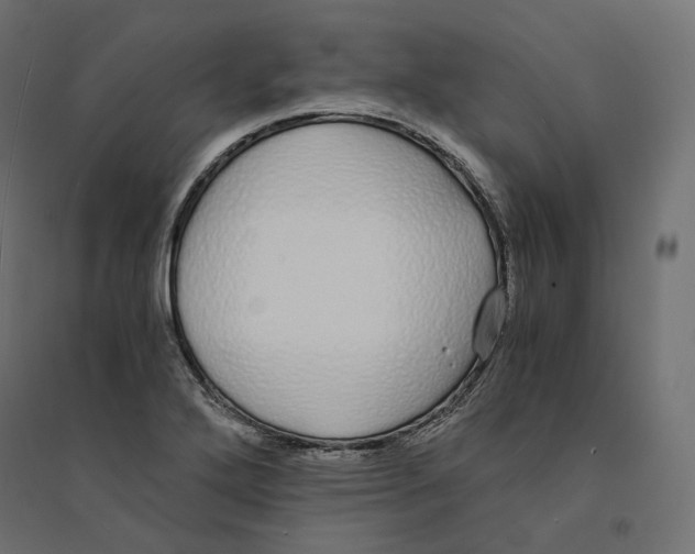 X0000094361272200711241929