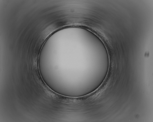 X0000094361273200711241929