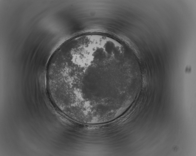 X0000094361274200711241929