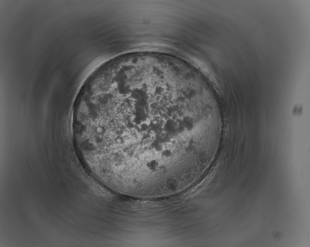 X0000094361275200711241929