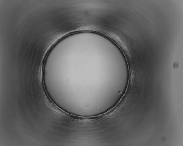 X0000094361276200711241929